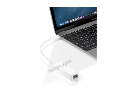 Adaptateur USB3.1 Type-C à RJ45 - Netgadget