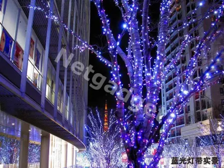 Guirlande lumineuse multi-couleurs - Netgadget