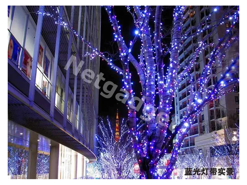 Guirlande lumineuse multi-couleurs - Netgadget