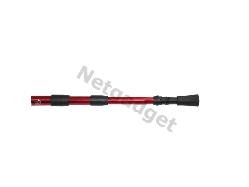 Set de 2 bâtons de marche nordique - Netgadget