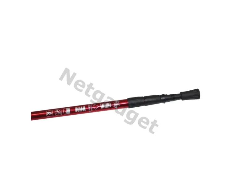 Set de 2 bâtons de marche nordique - Netgadget