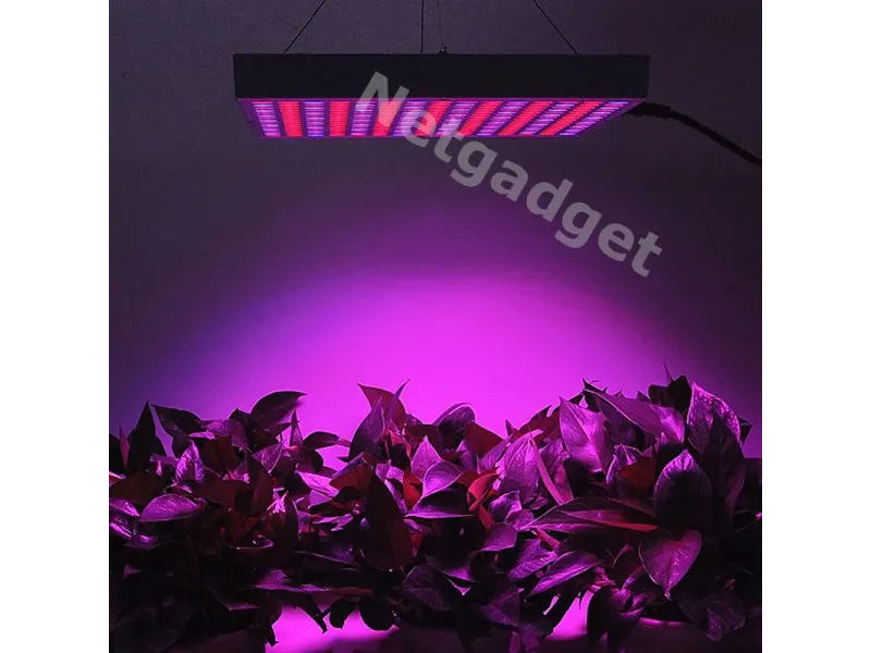 Lampe LED pour plantes fleurs 14W 225LED - Netgadget